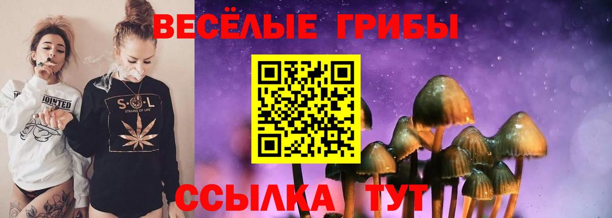 Псилоцибиновые грибы Psilocybine cubensis  Вход с VPN  Губаха  Галлюциногенные грибы мухоморы 