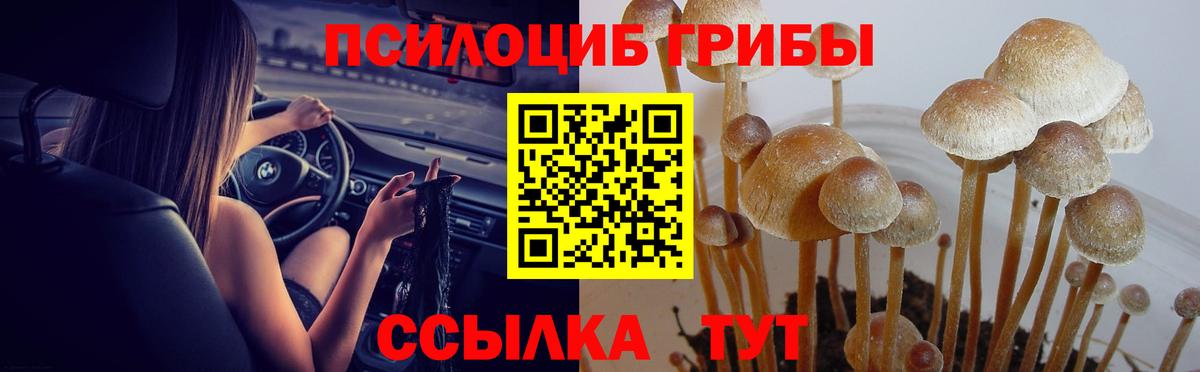 Псилоцибиновые грибы Magic Shrooms Губаха