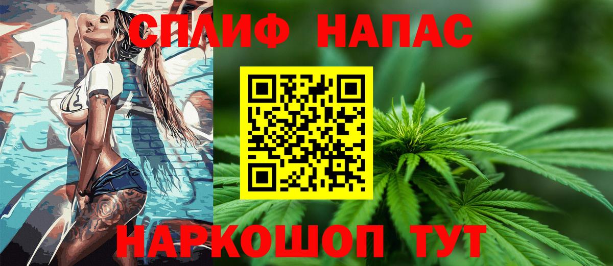 Бошки марихуана план  Каннабис марихуана  Канабис планчик  Канабис индика  Губаха  Вход с VPN 